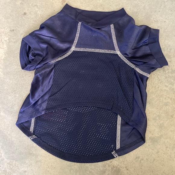 Winnipeg Jets dog jersey and leash - Picture 3 of 7